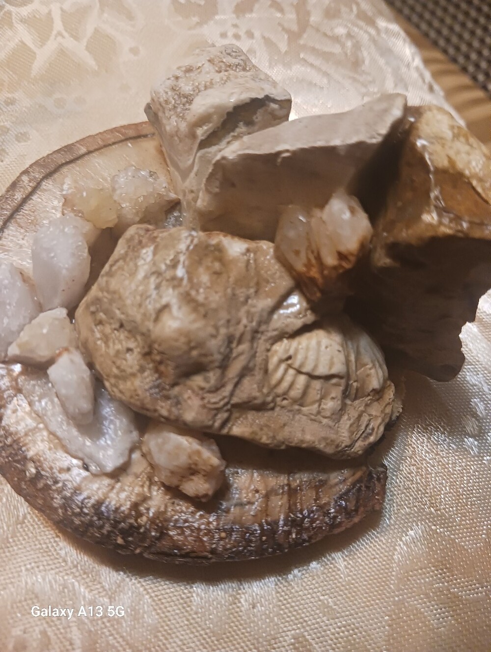 Decorative Natural Shell and Crystal Home Accent - Beige White